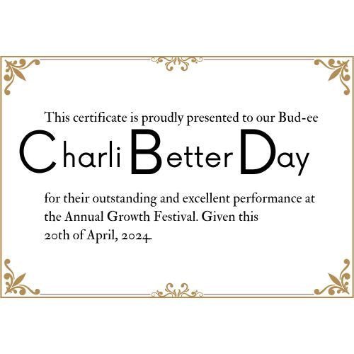 Charli Better Day Seed Kit - My Budee