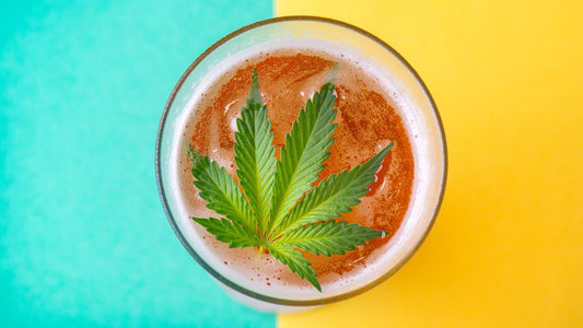Creating Cannabis-Infused Drinks: An Informative Guide