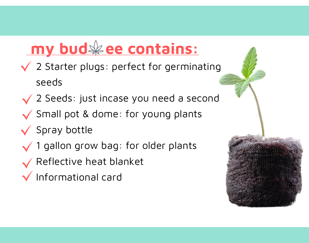 All in one kits for cannabis, marijuana and hemp growing.  Learn more. 