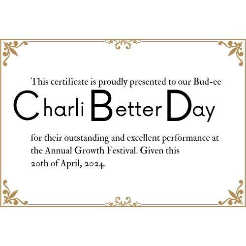 Charli Better Day Seed Kit - My Budee